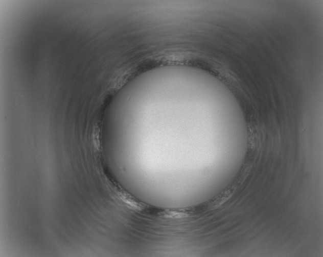 X0000060790718200511101034