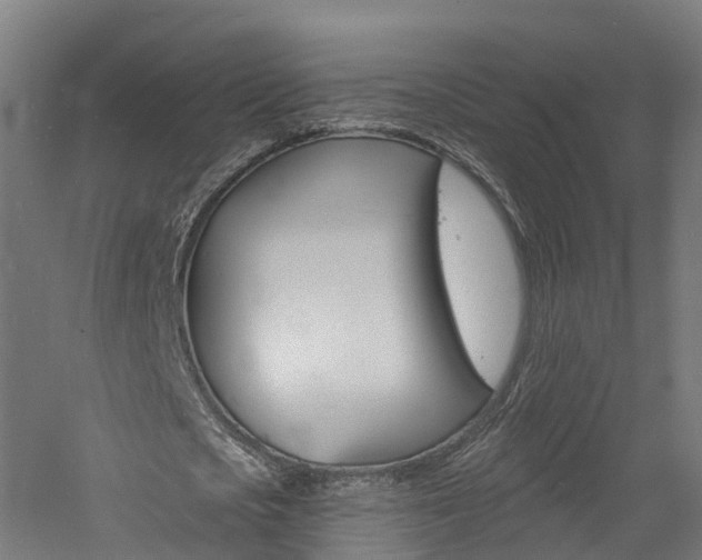 X0000060790721200511101033