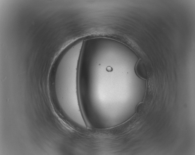 X0000060790722200511101033