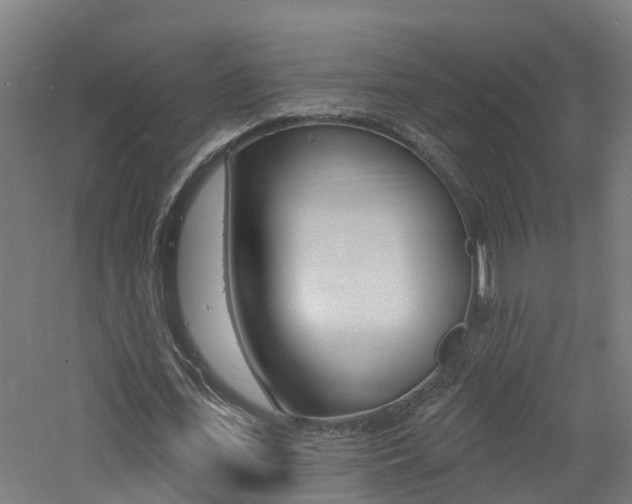 X0000060790723200511101033