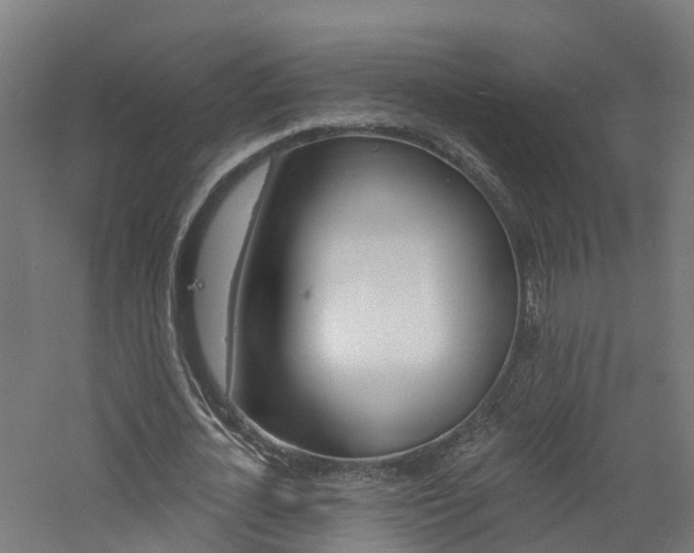 X0000060790724200511101033