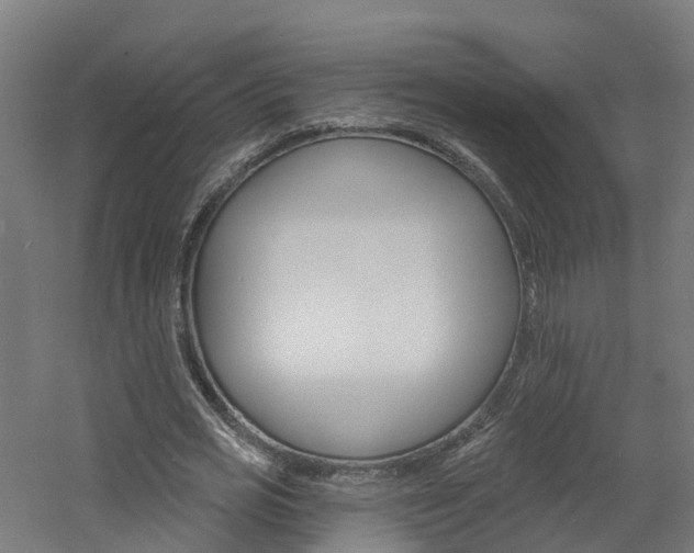 X0000060790725200511101033