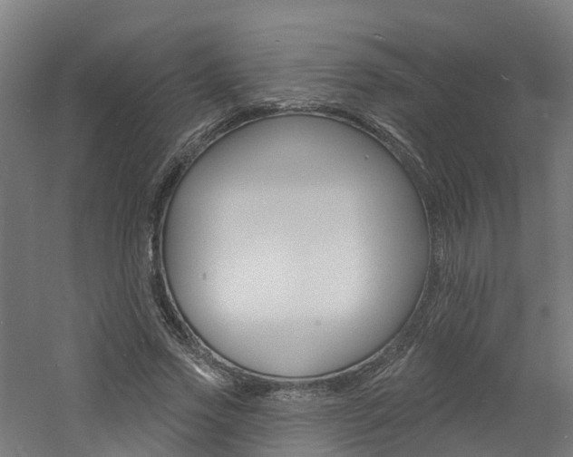 X0000060790733200511101033