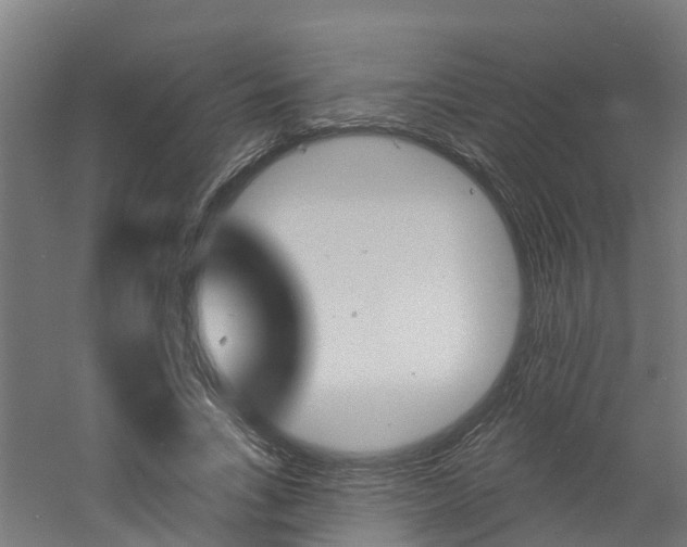 X0000060790735200511101033