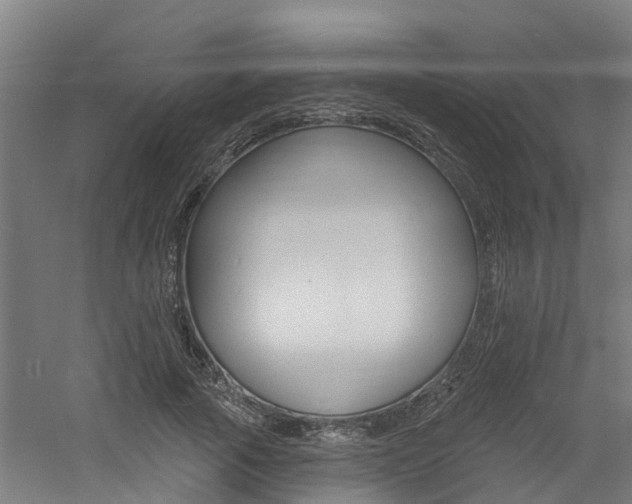 X0000060790737200511101033