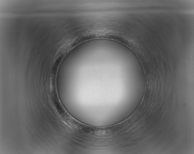 X0000060790740200511101034