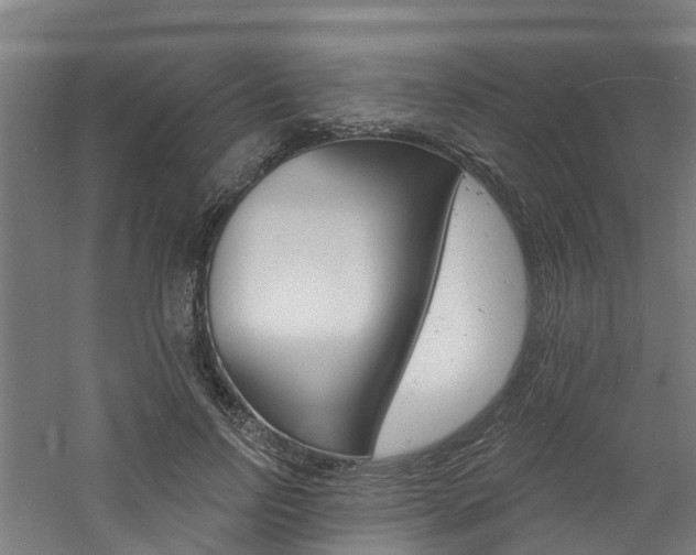 X0000060790742200511101034