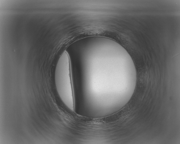 X0000060790743200511101034