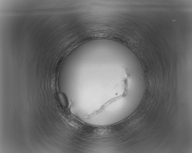 X0000060790745200511101034