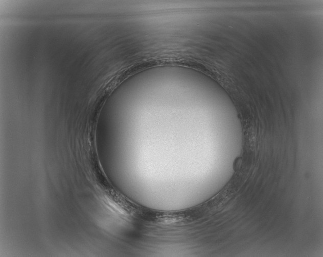 X0000060790746200511101034