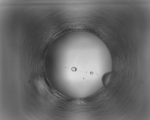 X0000060790747200511101034