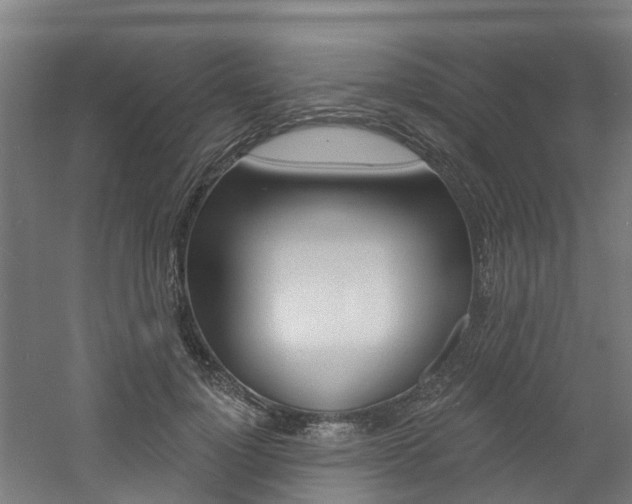 X0000060790748200511101034