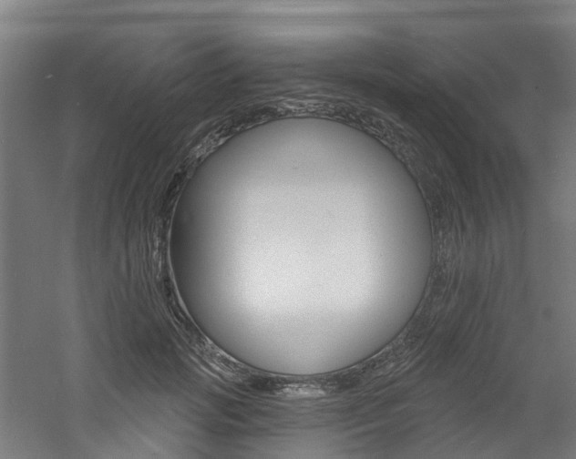 X0000060790749200511101034