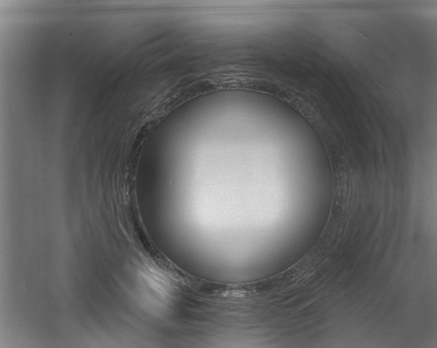 X0000060790751200511101034