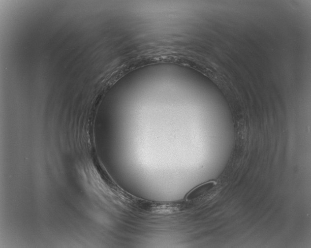 X0000060790754200511101034