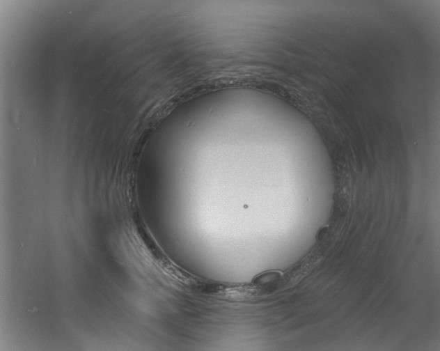 X0000060790758200511101034