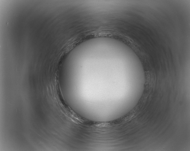 X0000060790761200511101034