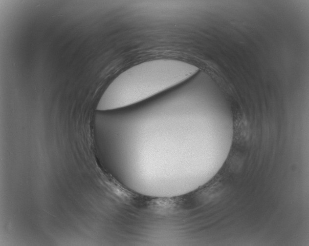 X0000060790765200511101034