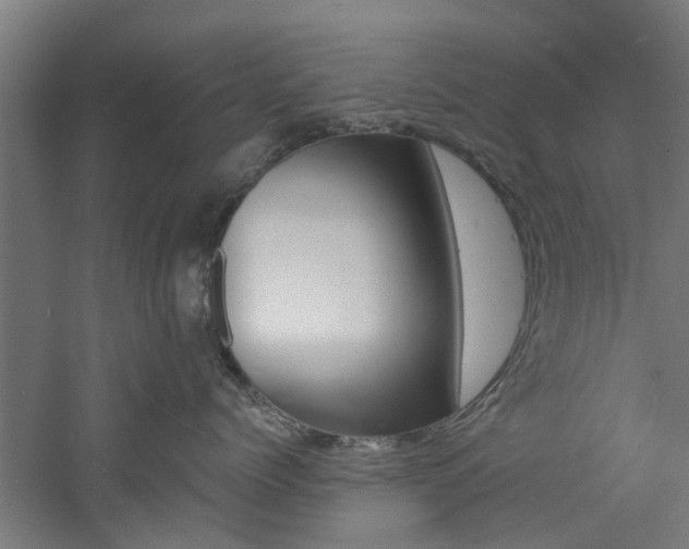 X0000060790768200511101034