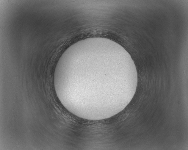 X0000060790769200511101033