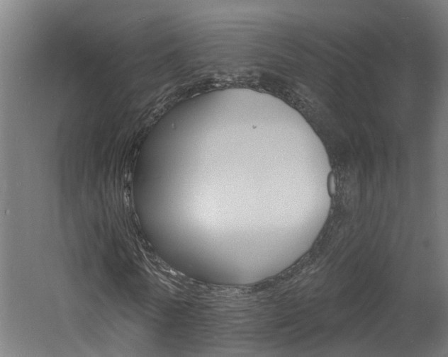 X0000060790770200511101033