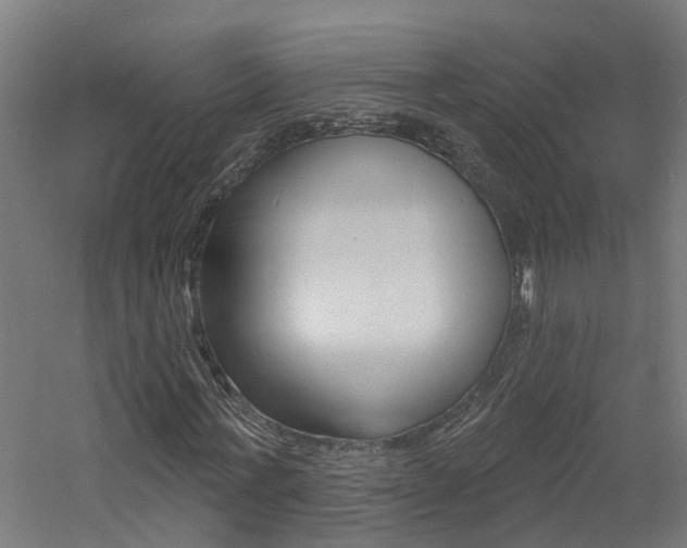 X0000060790771200511101033