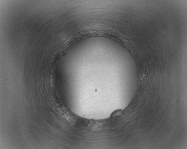 X0000060790772200511101033