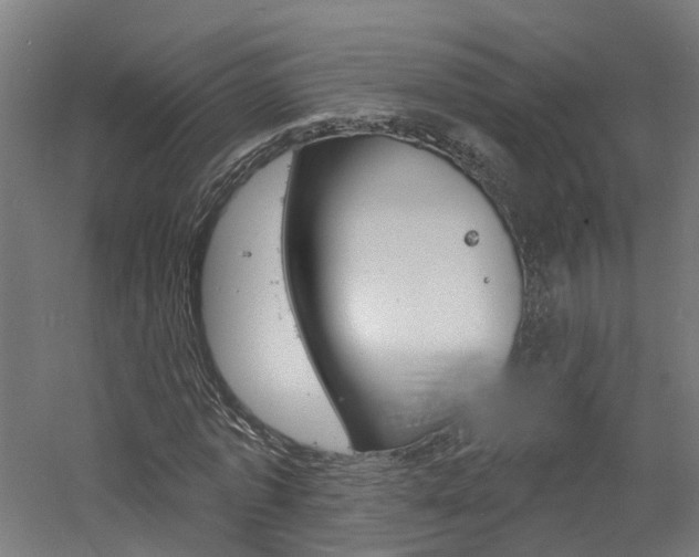 X0000060790773200511101033