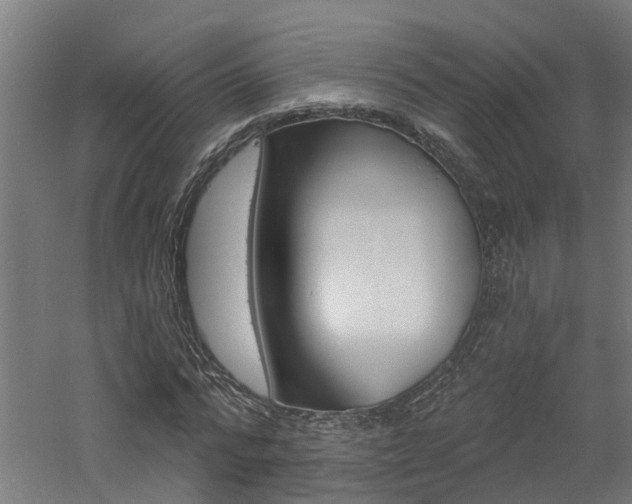 X0000060790776200511101033