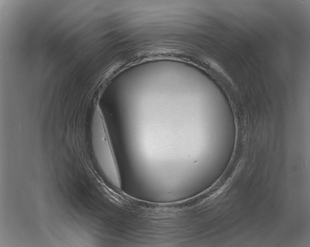 X0000060790777200511101033