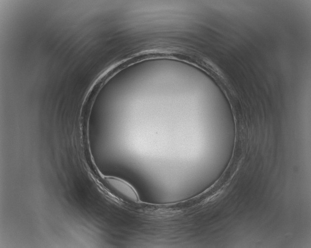 X0000060790779200511101033