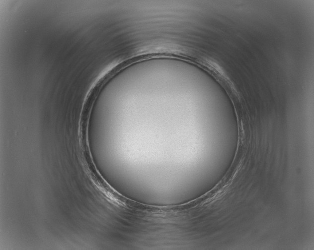 X0000060790780200511101033