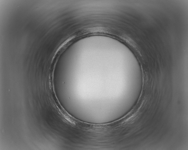 X0000060790782200511101033