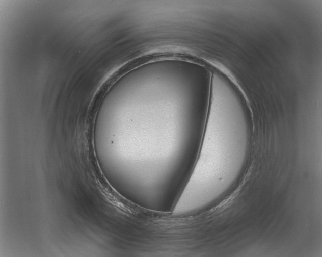 X0000060790783200511101033