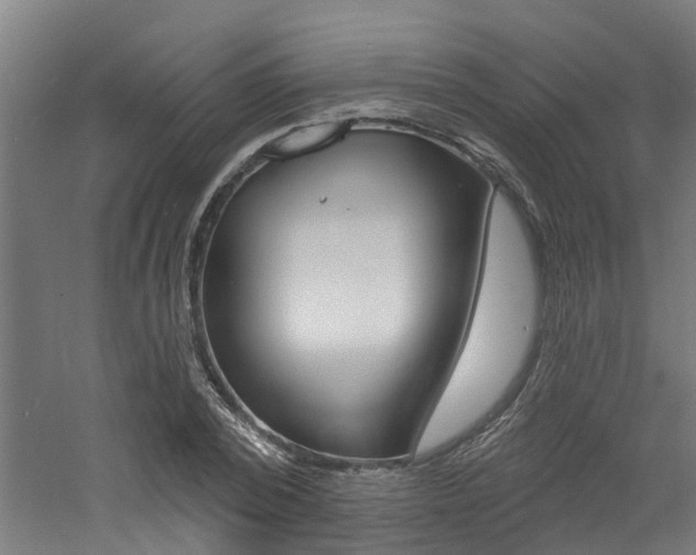 X0000060790784200511101033