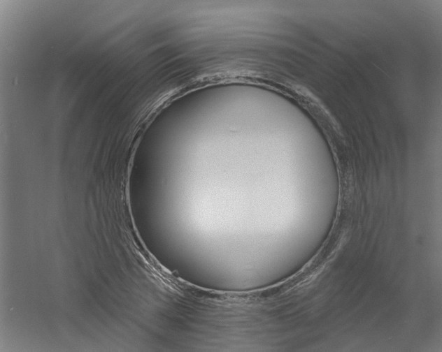 X0000060790785200511101033