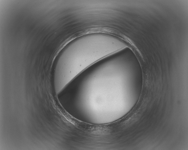 X0000060790786200511101033