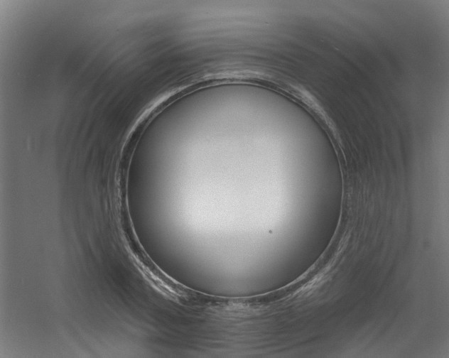 X0000060790787200511101033