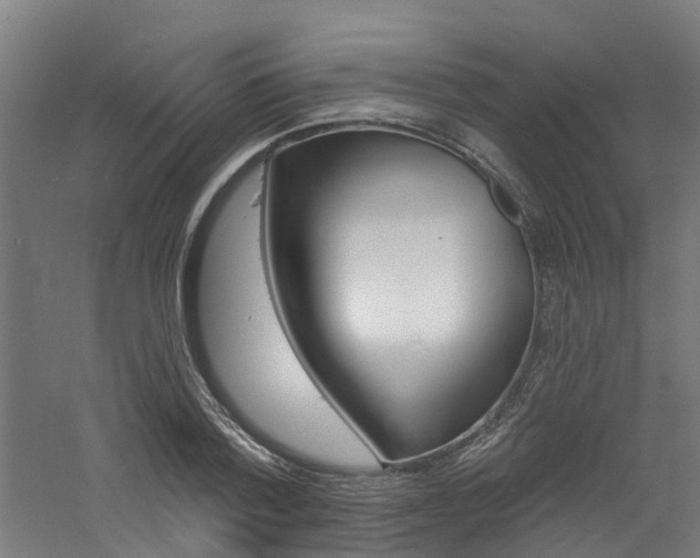 X0000060790788200511101033