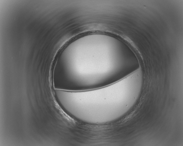 X0000060790791200511101033