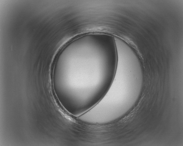 X0000060790792200511101033