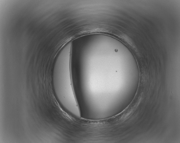 X0000060790793200511101033