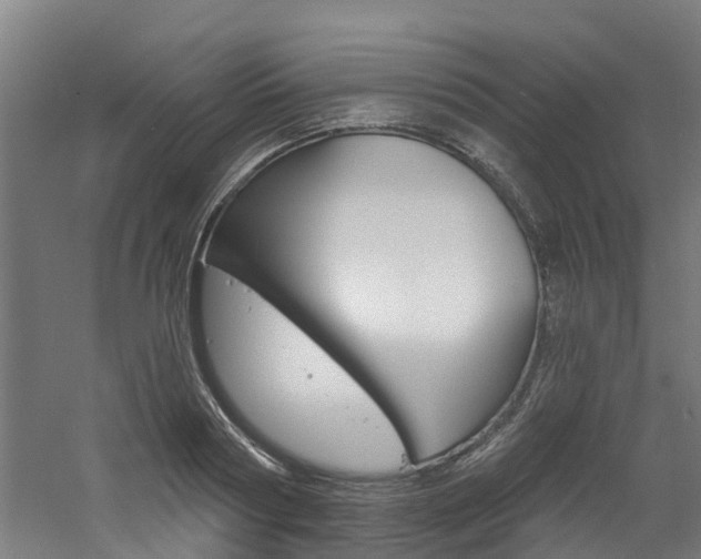 X0000060790794200511101033