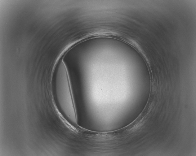 X0000060790795200511101033