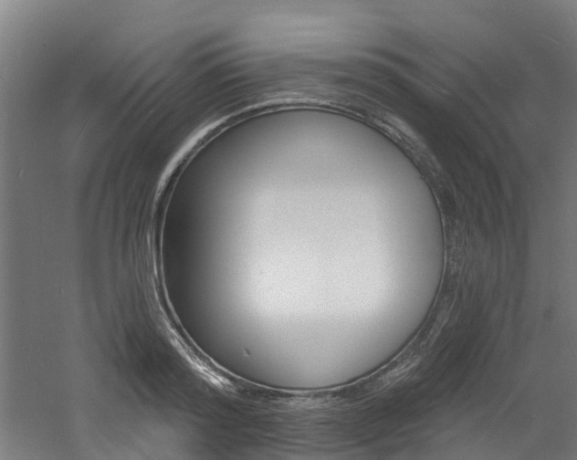 X0000060790796200511101033