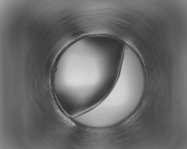 X0000060790797200511101033