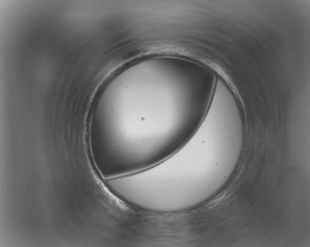 X0000060790799200511101033