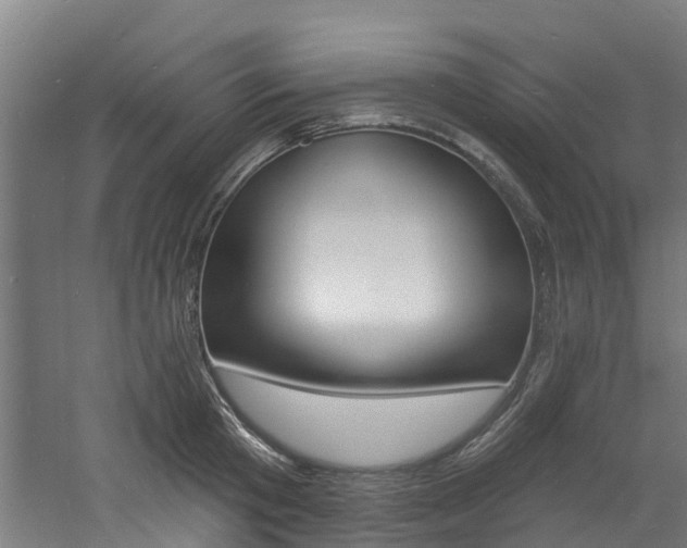 X0000060790801200511101033