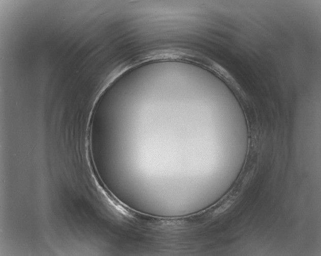 X0000060790802200511101033