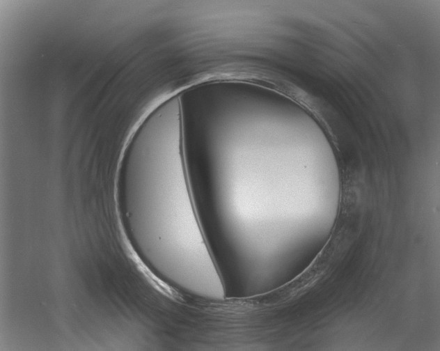 X0000060790803200511101033